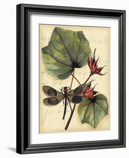 Petite Dragonflies I-Vision Studio-Framed Art Print