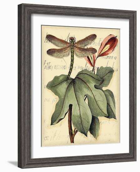 Petite Dragonflies II-Vision Studio-Framed Art Print