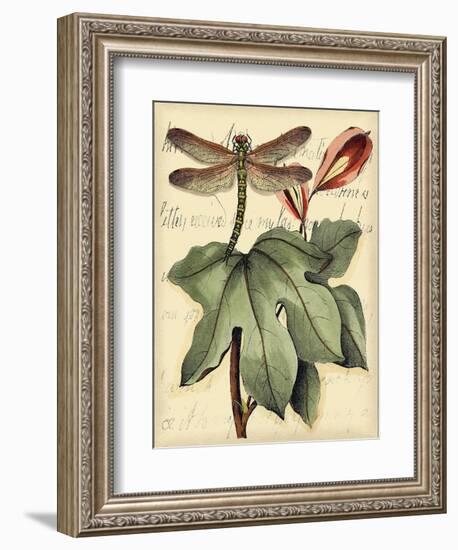 Petite Dragonflies II-Vision Studio-Framed Art Print