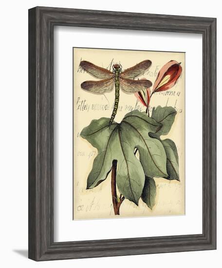 Petite Dragonflies II-Vision Studio-Framed Art Print