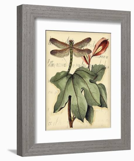 Petite Dragonflies II-Vision Studio-Framed Art Print