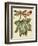 Petite Dragonflies II-Vision Studio-Framed Art Print