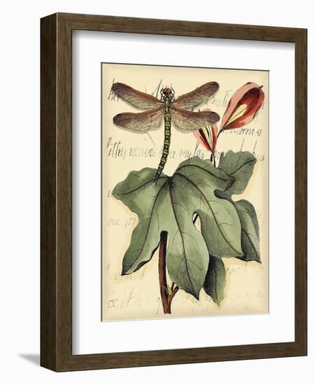 Petite Dragonflies II-Vision Studio-Framed Art Print