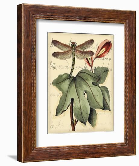 Petite Dragonflies II-Vision Studio-Framed Art Print