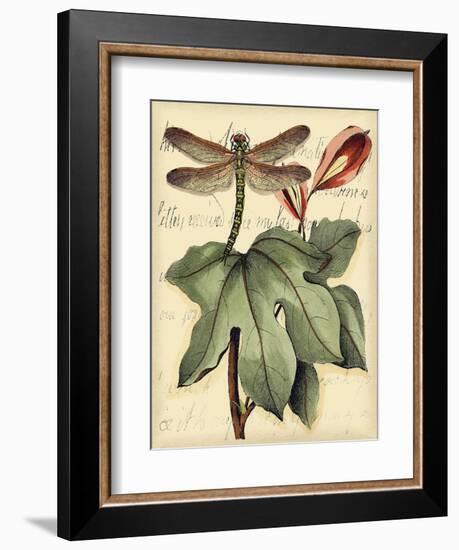 Petite Dragonflies II-Vision Studio-Framed Art Print