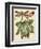 Petite Dragonflies II-Vision Studio-Framed Art Print