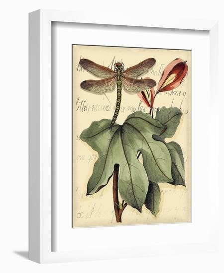 Petite Dragonflies II-Vision Studio-Framed Art Print