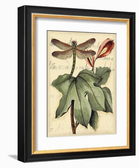 Petite Dragonflies II-Vision Studio-Framed Art Print