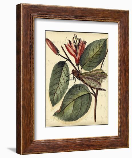 Petite Dragonflies V-Vision Studio-Framed Art Print