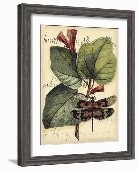 Petite Dragonflies VI-Vision Studio-Framed Art Print