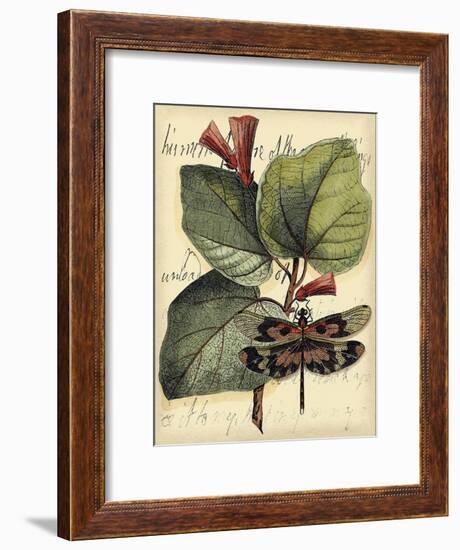 Petite Dragonflies VI-Vision Studio-Framed Art Print