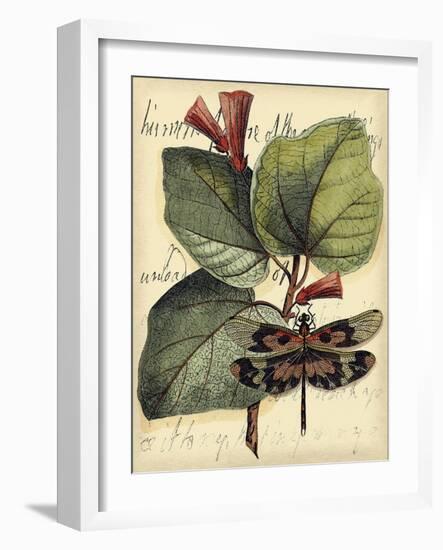 Petite Dragonflies VI-Vision Studio-Framed Art Print