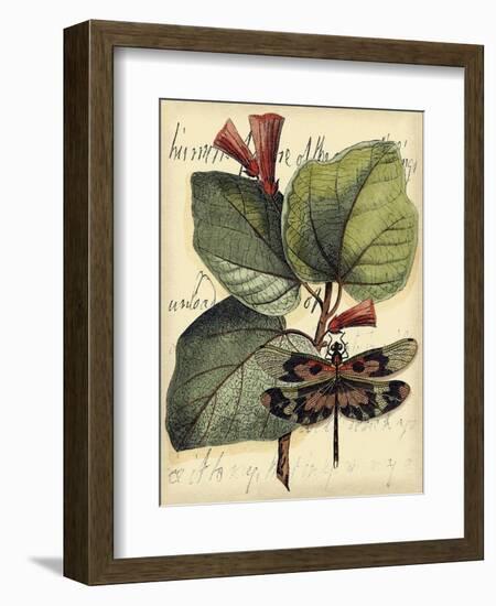 Petite Dragonflies VI-Vision Studio-Framed Premium Giclee Print