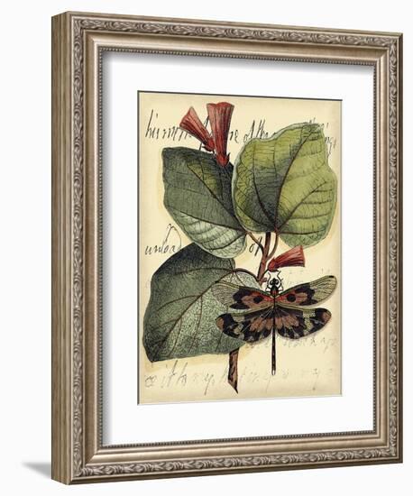 Petite Dragonflies VI-Vision Studio-Framed Art Print