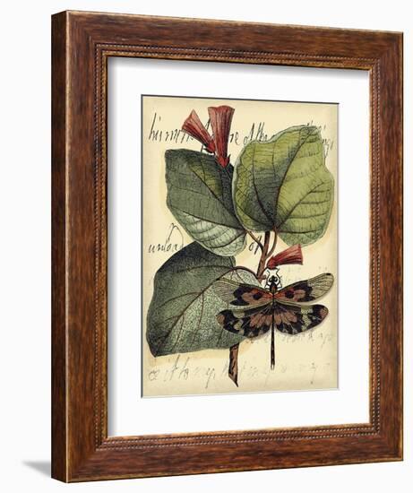 Petite Dragonflies VI-Vision Studio-Framed Art Print