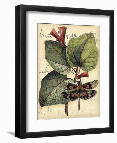 Petite Dragonflies VI-Vision Studio-Framed Art Print