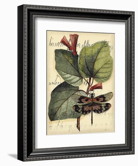 Petite Dragonflies VI-Vision Studio-Framed Art Print