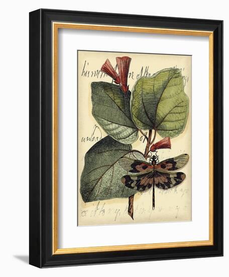 Petite Dragonflies VI-Vision Studio-Framed Art Print