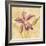 Petite Orchid IV-Cheri Blum-Framed Art Print