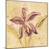 Petite Orchid IV-Cheri Blum-Mounted Art Print