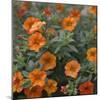 Petite Pansies-Nicole Katano-Mounted Photo