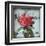 Petite Rose I-Sabine Berg-Framed Art Print