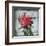 Petite Rose I-Sabine Berg-Framed Art Print