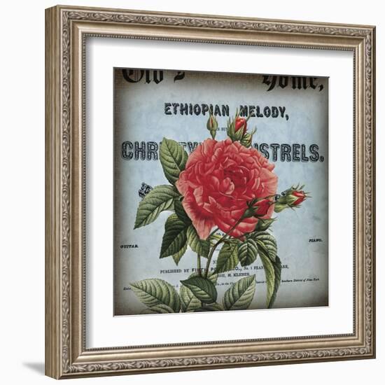 Petite Rose II-Sabine Berg-Framed Art Print