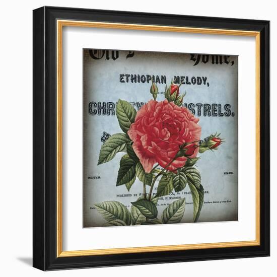 Petite Rose II-Sabine Berg-Framed Art Print