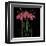 Petite Rose-Jocelyne Anderson-Tapp-Framed Giclee Print