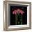 Petite Rose-Jocelyne Anderson-Tapp-Framed Giclee Print