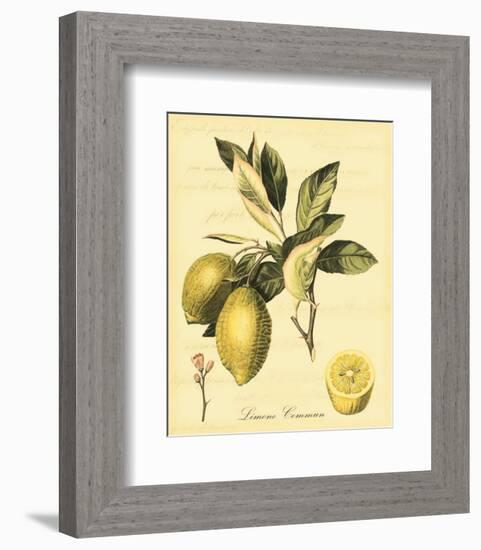 Petite Tuscan Fruits II-null-Framed Art Print