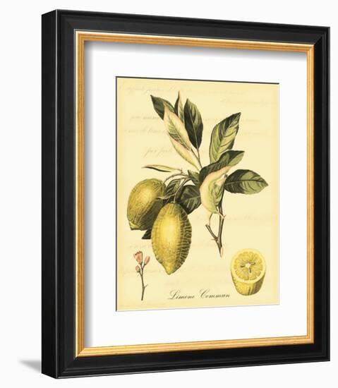 Petite Tuscan Fruits II-null-Framed Art Print