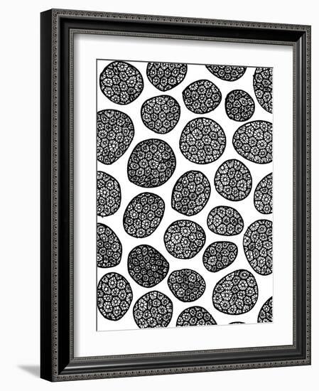 Petoskey Stone-Laura Miller-Framed Giclee Print