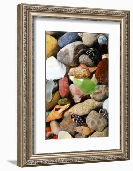 Petoskey Stones I-Michelle Calkins-Framed Photo