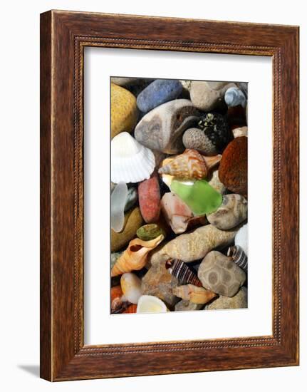 Petoskey Stones I-Michelle Calkins-Framed Photo