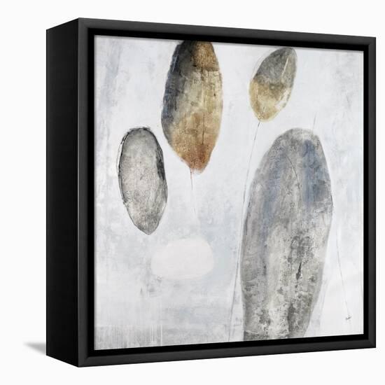 Petoskey Stones II-Clayton Rabo-Framed Premier Image Canvas