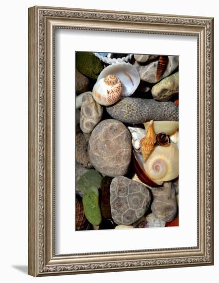 Petoskey Stones II-Michelle Calkins-Framed Photo