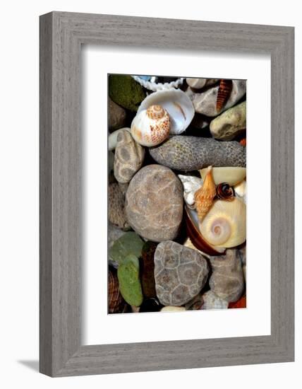 Petoskey Stones II-Michelle Calkins-Framed Photo