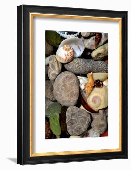 Petoskey Stones II-Michelle Calkins-Framed Photo