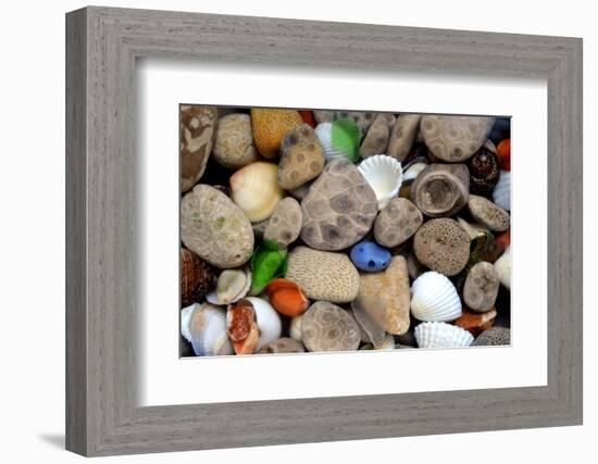 Petoskey Stones III-Michelle Calkins-Framed Photo