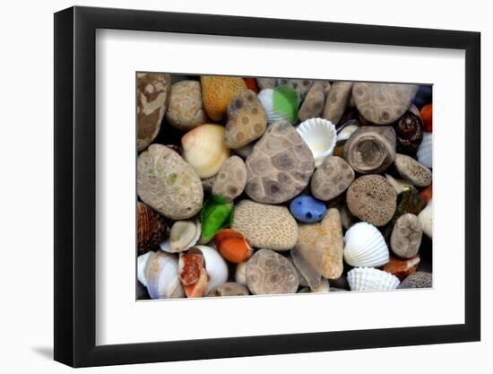 Petoskey Stones III-Michelle Calkins-Framed Photo