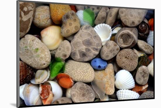 Petoskey Stones III-Michelle Calkins-Mounted Photo