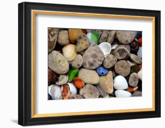 Petoskey Stones III-Michelle Calkins-Framed Photo