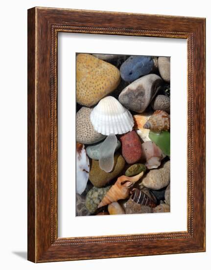 Petoskey Stones IV-Michelle Calkins-Framed Photo