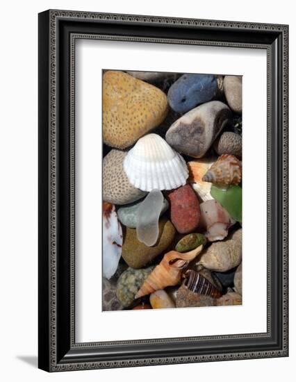 Petoskey Stones IV-Michelle Calkins-Framed Photo