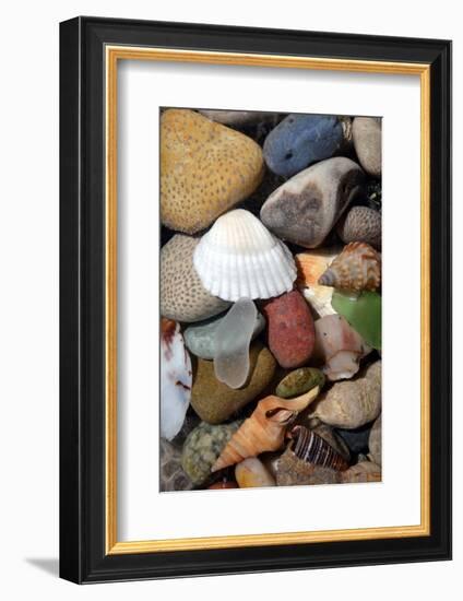 Petoskey Stones IV-Michelle Calkins-Framed Photo