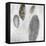 Petoskey Stones-Clayton Rabo-Framed Premier Image Canvas