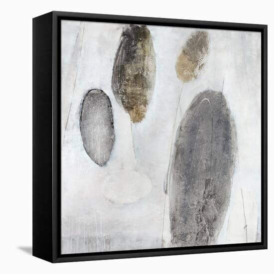 Petoskey Stones-Clayton Rabo-Framed Premier Image Canvas