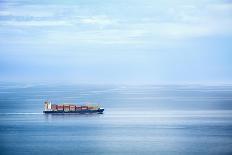Large Container Ship in the Open Sea-Petr Jilek-Framed Photographic Print